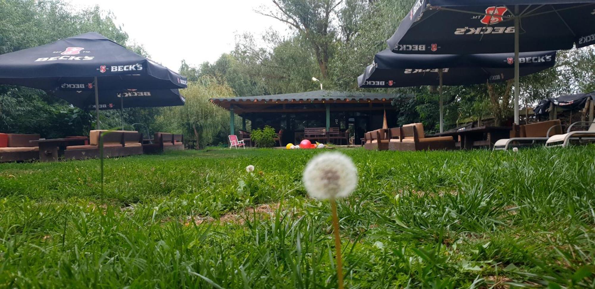 Hotel Restaurant Plutitor Delta Ways Nufaru Bagian luar foto