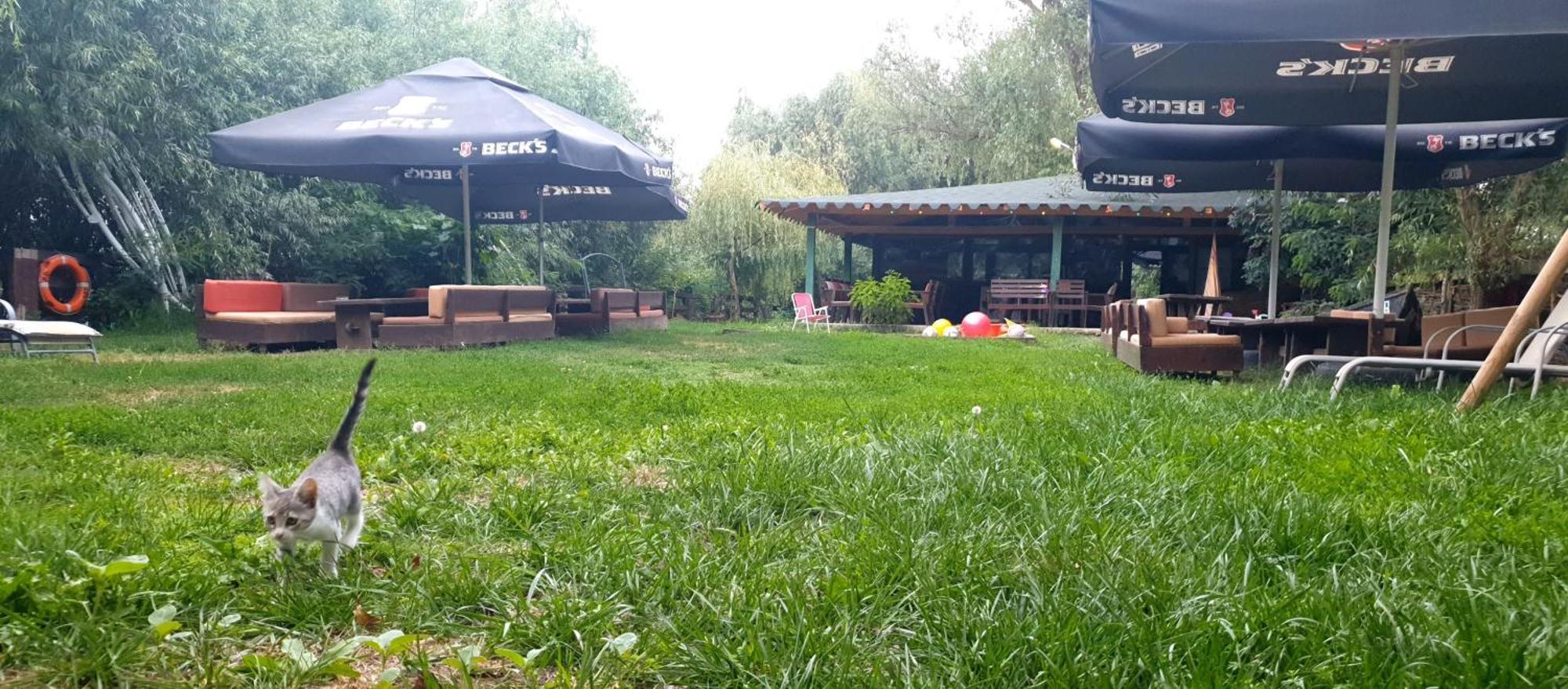 Hotel Restaurant Plutitor Delta Ways Nufaru Bagian luar foto